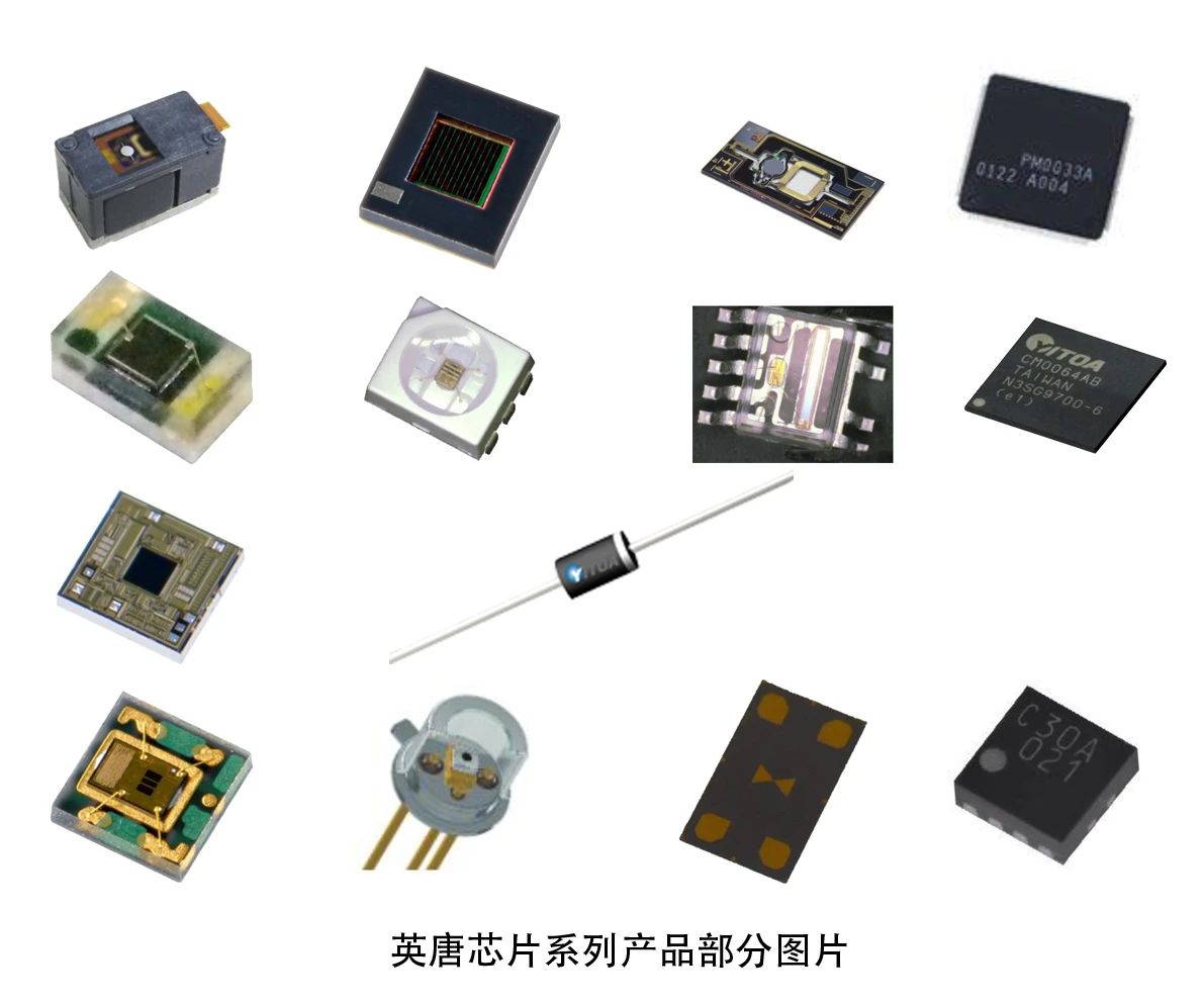 自有品牌面世 轉型穩(wěn)步向前